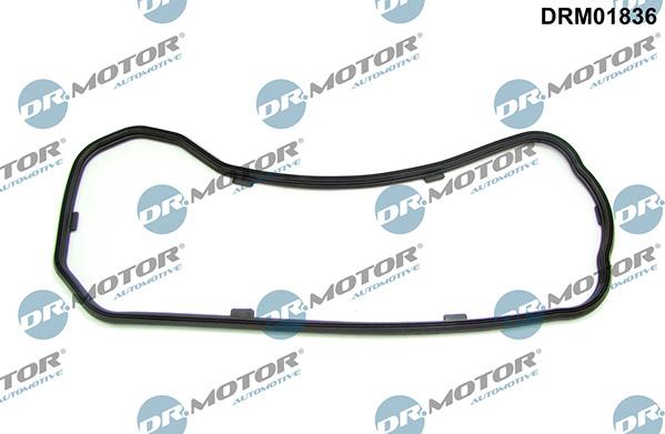 Lizarte DRM01836 - Blīve, Eļļas vācele www.autospares.lv