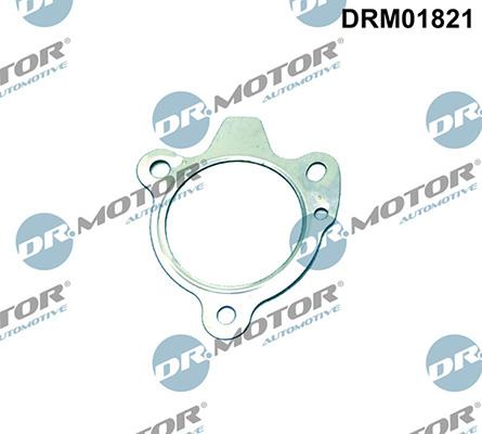 Lizarte DRM01821 - Blīve, Izplūdes caurule www.autospares.lv