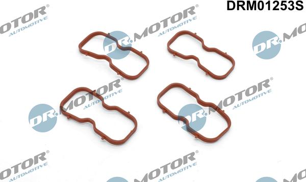 Lizarte DRM01253S - Blīvju komplekts, Ieplūdes kolektors www.autospares.lv