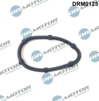 Lizarte DRM0125 - Blīve, Kartera ventilācija www.autospares.lv