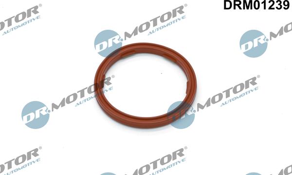 Lizarte DRM01239 - Blīvgredzens, Motoreļļas līmeņa devējs www.autospares.lv