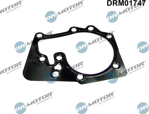 Lizarte DRM01747 - Blīve, Ūdenssūknis www.autospares.lv