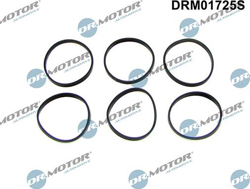 Lizarte DRM01725S - Blīvju komplekts, Ieplūdes kolektors www.autospares.lv