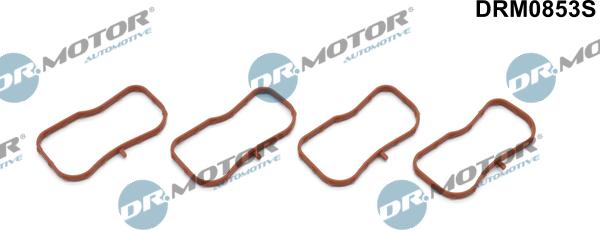 Lizarte DRM0853S - Blīvju komplekts, Ieplūdes kolektors www.autospares.lv