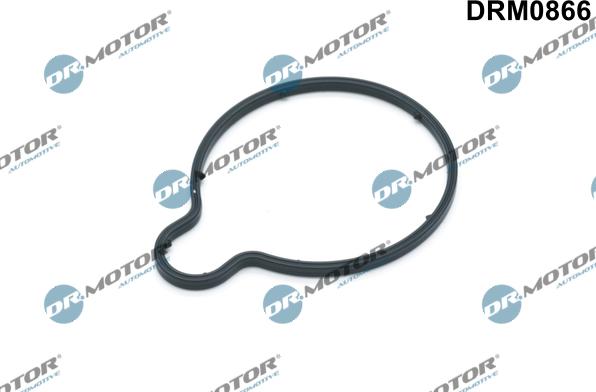 Lizarte DRM0866 - Blīve, Vakuumsūknis www.autospares.lv