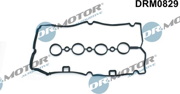 Lizarte DRM0829 - Blīve, Motora bloka galvas vāks www.autospares.lv