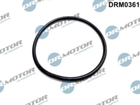 Lizarte DRM0361 - Blīve, Vakuumsūknis www.autospares.lv