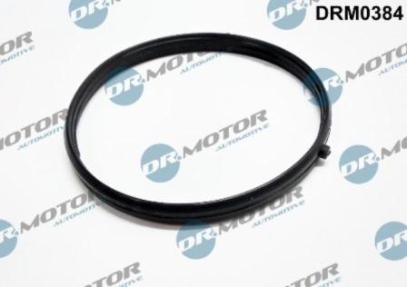 Lizarte DRM0384 - Blīve, Ieplūdes kolektors www.autospares.lv