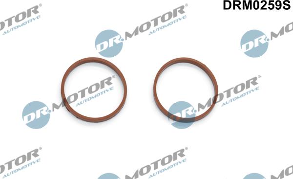 Lizarte DRM0259S - Blīvju komplekts, Ieplūdes kolektors www.autospares.lv