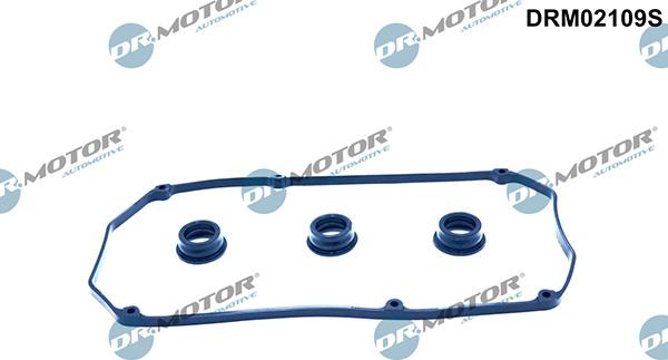 Lizarte DRM02109S - Blīvju komplekts, Motora bloka galvas vāks www.autospares.lv