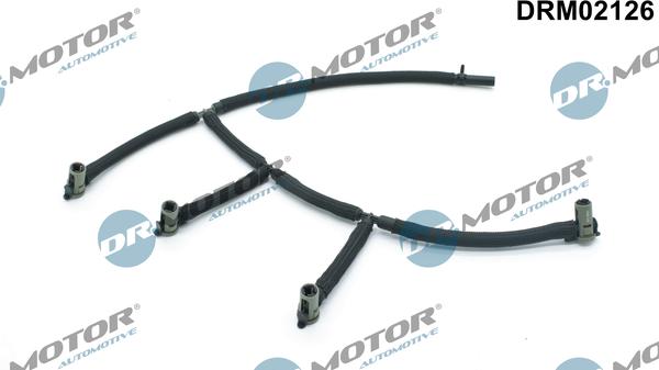 Lizarte DRM02126 - Blīve, Eļļas filtra korpuss www.autospares.lv