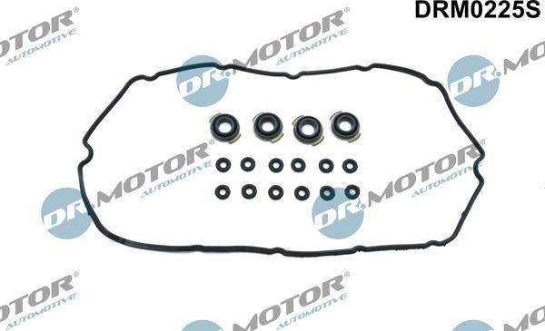 Lizarte DRM0225S - Blīvju komplekts, Motora bloka galvas vāks www.autospares.lv