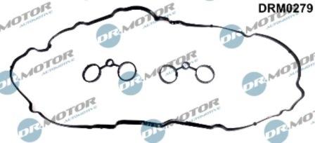 Lizarte DRM0279 - Blīvju komplekts, Motora bloka galvas vāks www.autospares.lv