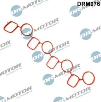 Lizarte DRM076 - Blīve, Ieplūdes kolektors www.autospares.lv