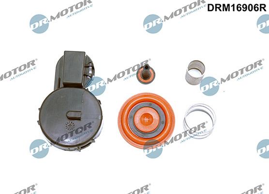 Lizarte DRM16906R - Membrāna, Kartera ventilācija www.autospares.lv