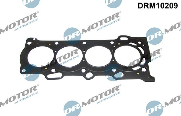 Lizarte DRM10209 - Blīve, Motora bloka galva www.autospares.lv