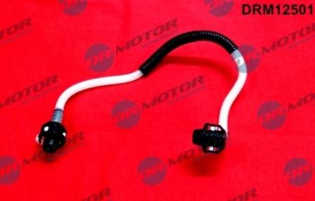 Lizarte DRM12501 - Degvielas vads www.autospares.lv