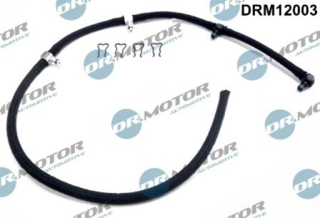 Lizarte DRM12003 - Šļūtene, Degvielas noplūde www.autospares.lv