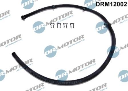 Lizarte DRM12002 - Šļūtene, Degvielas noplūde www.autospares.lv