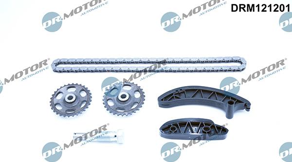 Lizarte DRM121201 - Sadales vārpstas piedziņas ķēdes komplekts www.autospares.lv