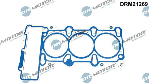 Lizarte DRM21269 - Blīve, Motora bloka galva www.autospares.lv