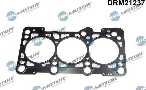 Lizarte DRM21237 - Blīve, Motora bloka galva www.autospares.lv