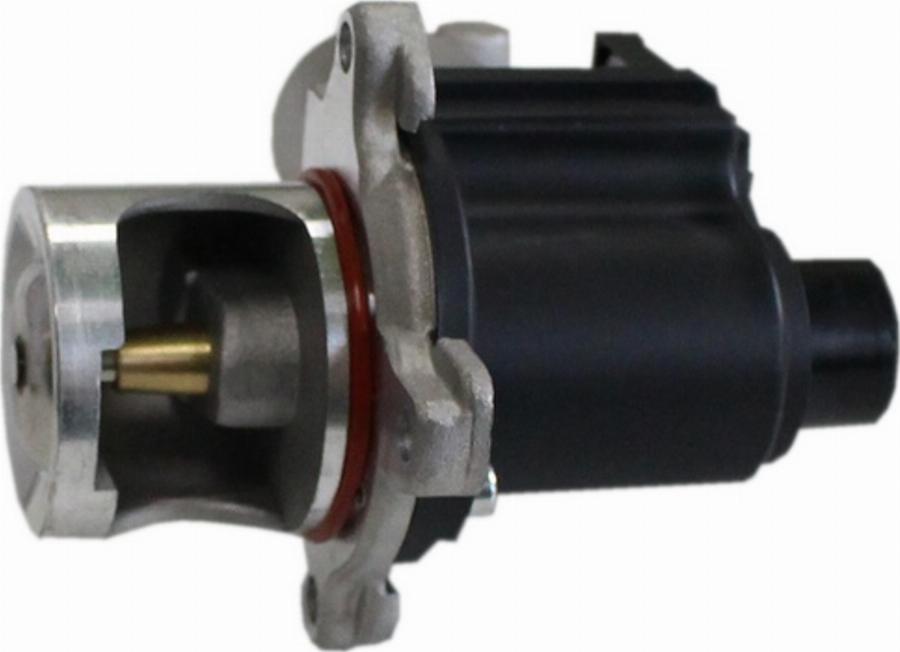 Loro 121-01-099 - EGR Valve www.autospares.lv