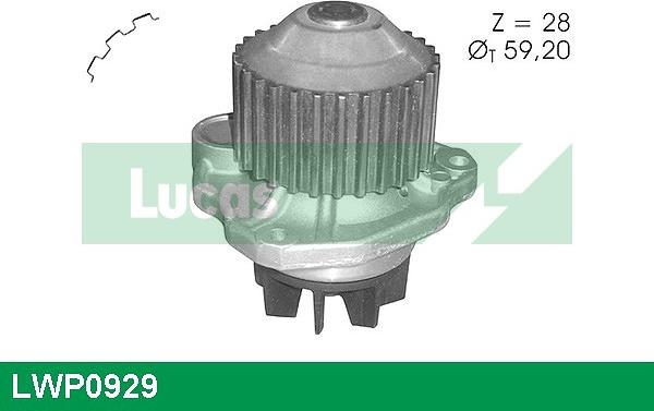 LUCAS LWP0929 - Ūdenssūknis www.autospares.lv