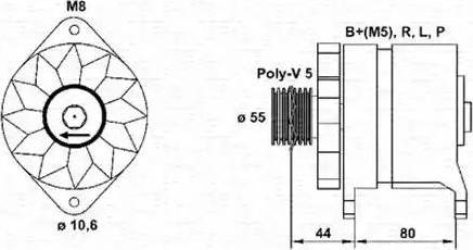 Magneti Marelli 943356927010 - Alternator www.autospares.lv