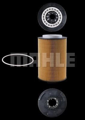 Magneti Marelli 154072350182 - Eļļas filtrs www.autospares.lv