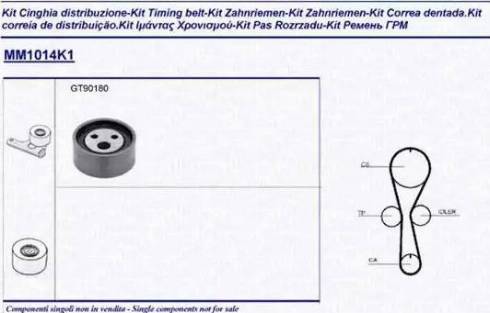 Magneti Marelli 341310141101 - Zobsiksnas komplekts www.autospares.lv