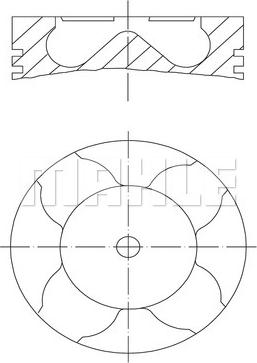 MAHLE 010 16 02 - Virzulis www.autospares.lv