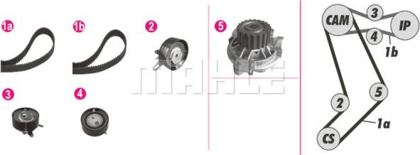 MAHLE CPK 43 000P - Водяной насос + комплект зубчатого ремня ГРМ www.autospares.lv