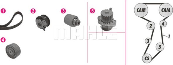 MAHLE CPK 110 000P - Ūdenssūknis + Zobsiksnas komplekts www.autospares.lv