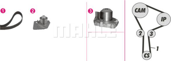 MAHLE CPK 86 000P - Ūdenssūknis + Zobsiksnas komplekts www.autospares.lv