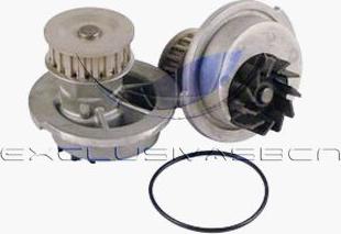 MDR MWP-4W02 - Water Pump www.autospares.lv