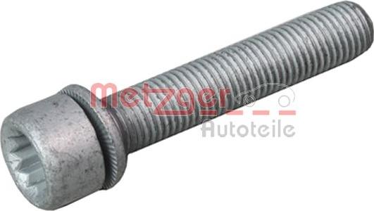 Metzger 6250007S - Болт, корпус скобы тормоза www.autospares.lv