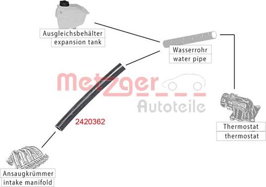 Metzger 2420362 - Radiatora cauruļvads www.autospares.lv