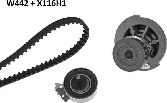 MGA 442K1 - Water Pump & Timing Belt Set www.autospares.lv