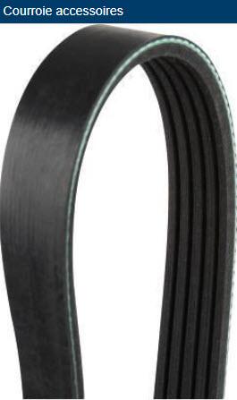 MGA CS51400 - V-Ribbed Belt www.autospares.lv