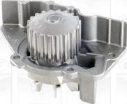 MGA PA391 - Water Pump www.autospares.lv