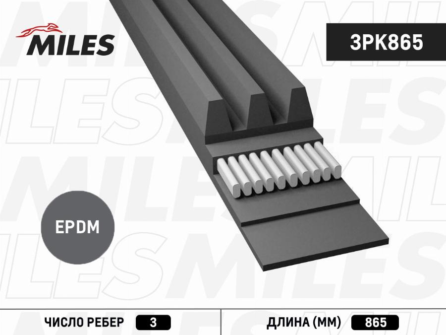 Miles 3PK865 - Ķīļrievu siksna autospares.lv