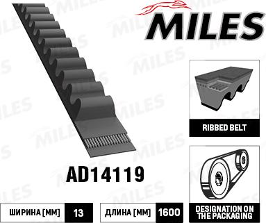 Miles AD14119 - Ķīļsiksna www.autospares.lv