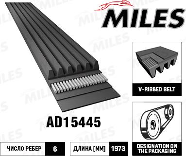 Miles AD15445 - V-Ribbed Belt www.autospares.lv