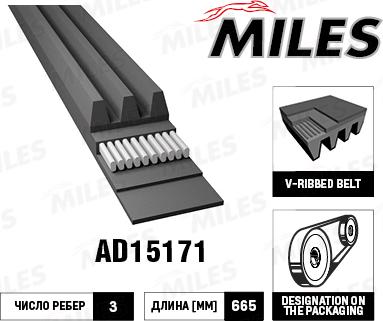 Miles AD15171 - Поликлиновой ремень www.autospares.lv