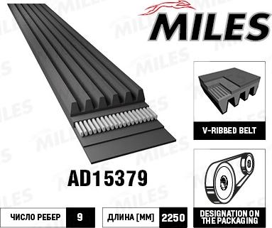 Miles AD15379 - Ķīļrievu siksna www.autospares.lv