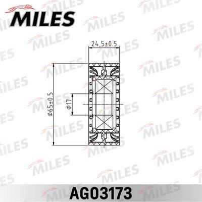 Miles AG03173 - Натяжитель, поликлиновый ремень www.autospares.lv