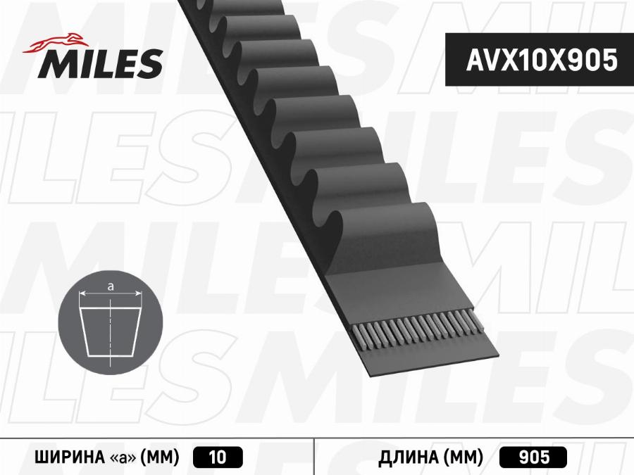 Miles AVX10X905 - Клиновой ремень, поперечные рёбра www.autospares.lv