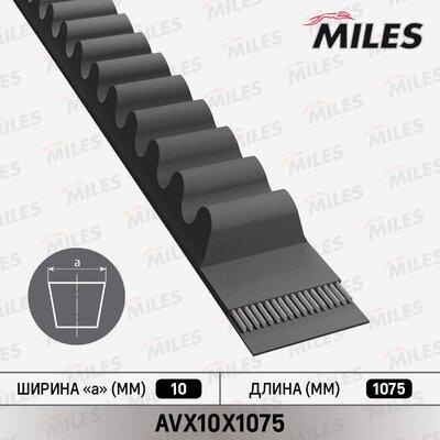 Miles AVX10X1075 - Клиновой ремень, поперечные рёбра www.autospares.lv