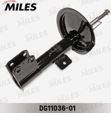 Miles DG11036-01 - Amortizators autospares.lv